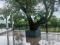 Hantana Home Stay Villa