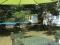 Green View Holiday Villa